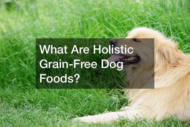 What Are Holistic GrainFree Dog Foods? Organic Food Definition